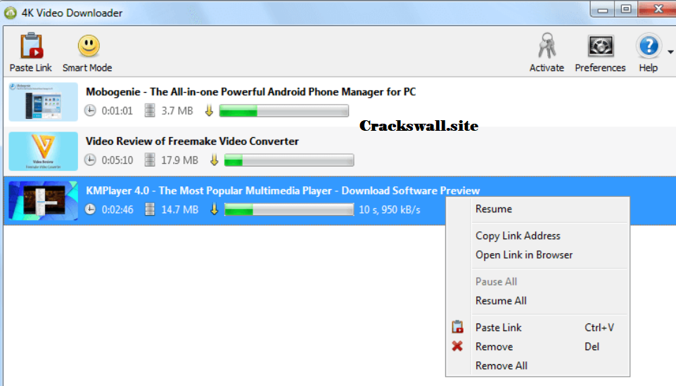 4K Video Downloader License Key